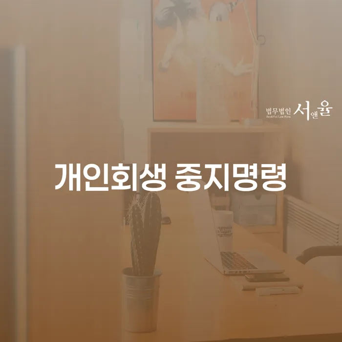 신용불량자사면 채무조정제도을 이용하여 총정리