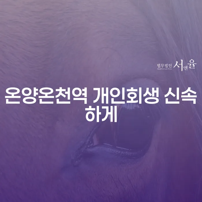 온양온천역 개인회생 신속하게